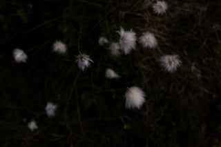 Carrying stories